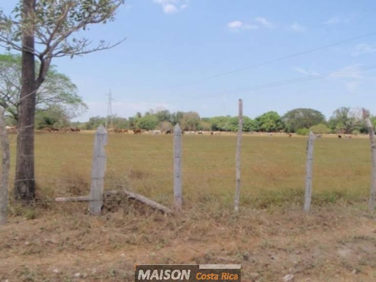 Terrain dans le canton de Parrita