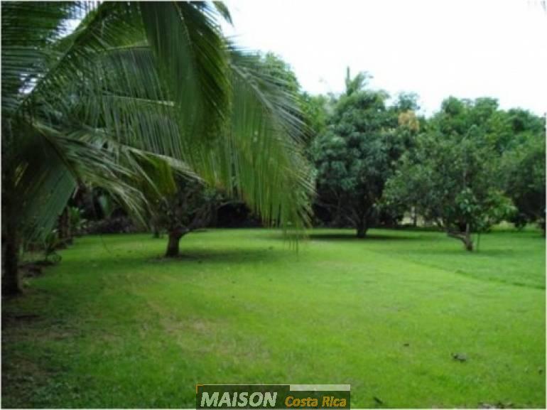 immobilier costa rica