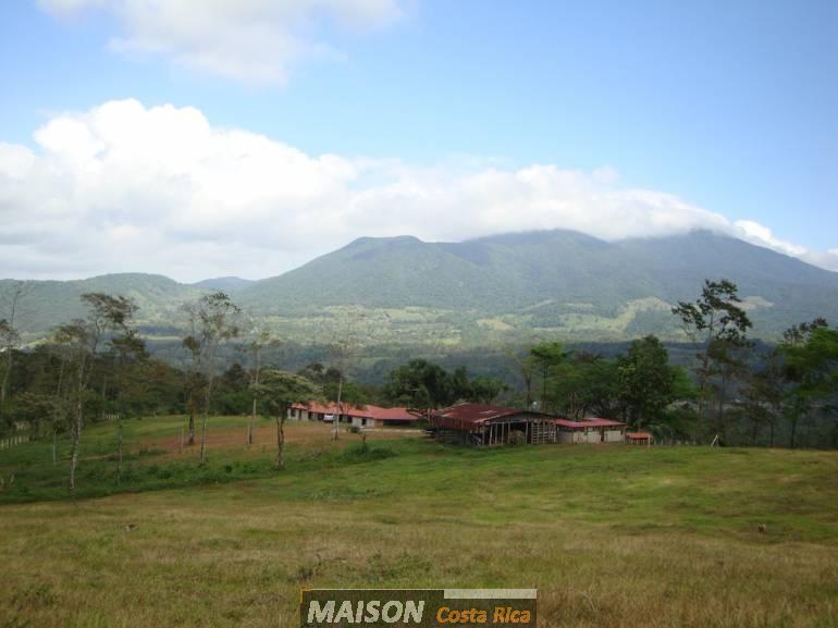 immobilier costa rica