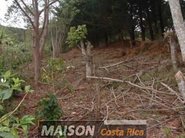 immobilier costa rica : annonce immobiliere à SANTA MARIA DE DOTA San Jos au costa rica