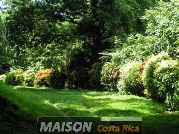 immobilier costa rica : annonce immobiliere à PLAYA SAMARA Guanacaste au costa rica