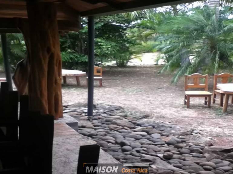immobilier costa rica