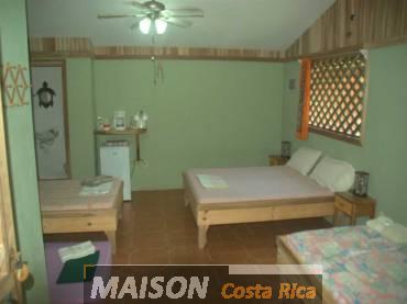 immobilier costa rica : annonce immobiliere à TORTUGUERO Limon au costa rica