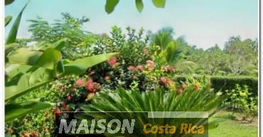 immobilier costa rica : annonce immobiliere à PARRITA Puntarenas au costa rica