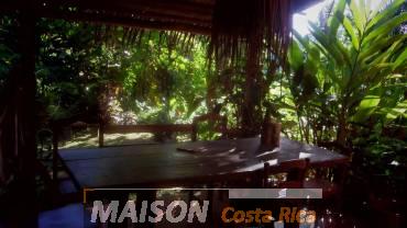 immobilier costa rica : annonce immobiliere à CAHUITA Limon au costa rica