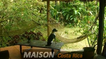 immobilier costa rica : annonce immobiliere à CAHUITA Limon au costa rica