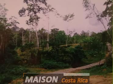 immobilier costa rica : annonce immobiliere à PUERTO VIEJO Limon au costa rica