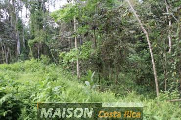 immobilier costa rica : annonce immobiliere à PUERTO VIEJO Limon au costa rica