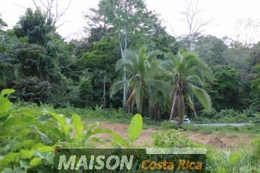 immobilier costa rica : annonce immobiliere à PUERTO VIEJO Limon au costa rica