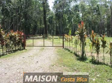 immobilier costa rica : annonce immobiliere à CAHUITA Limon au costa rica