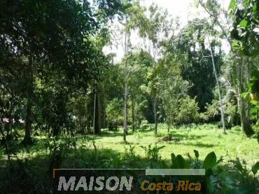 immobilier costa rica : annonce immobiliere à PUNTA UVA Limon au costa rica