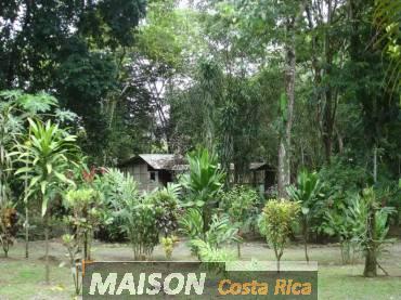 immobilier costa rica : annonce immobiliere à PUERTO JIMENEZ Puntarenas au costa rica