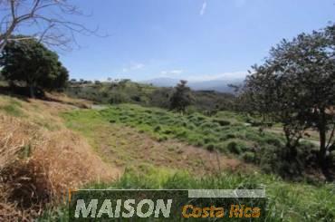investissement immobilier proposé par notre agence immobilière au costa rica