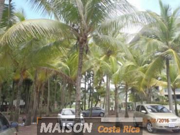 immobilier costa rica : annonce immobiliere à JACO Puntarenas au costa rica