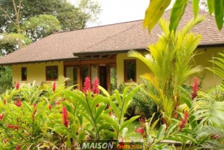immobilier costa rica