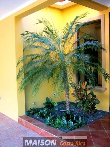 immobilier costa rica : annonce immobiliere à PAQUERA Puntarenas au costa rica